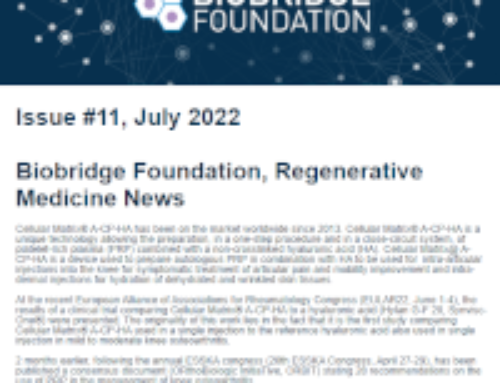 Newsletter #11 July 2022