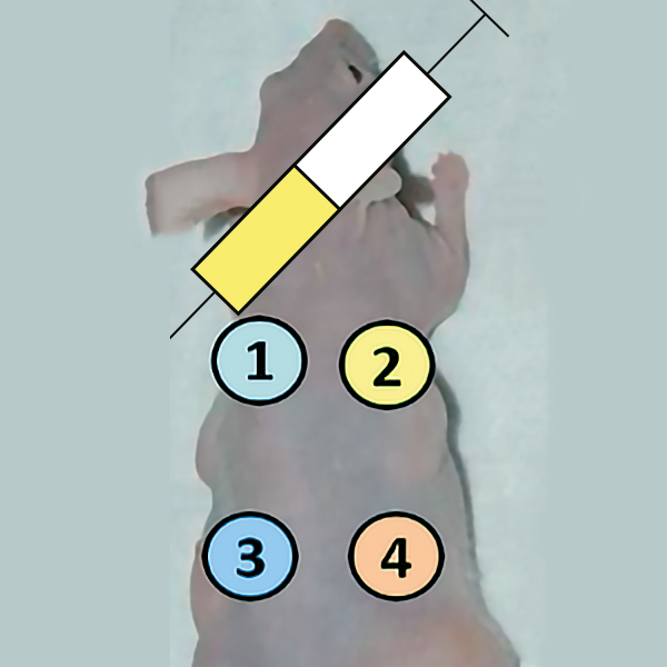 fig20b