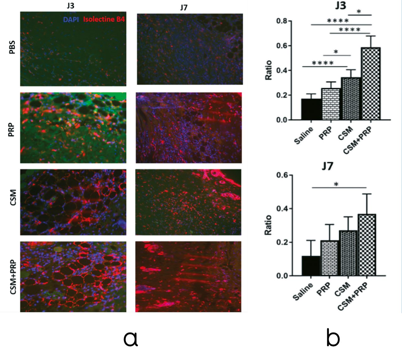 fig24